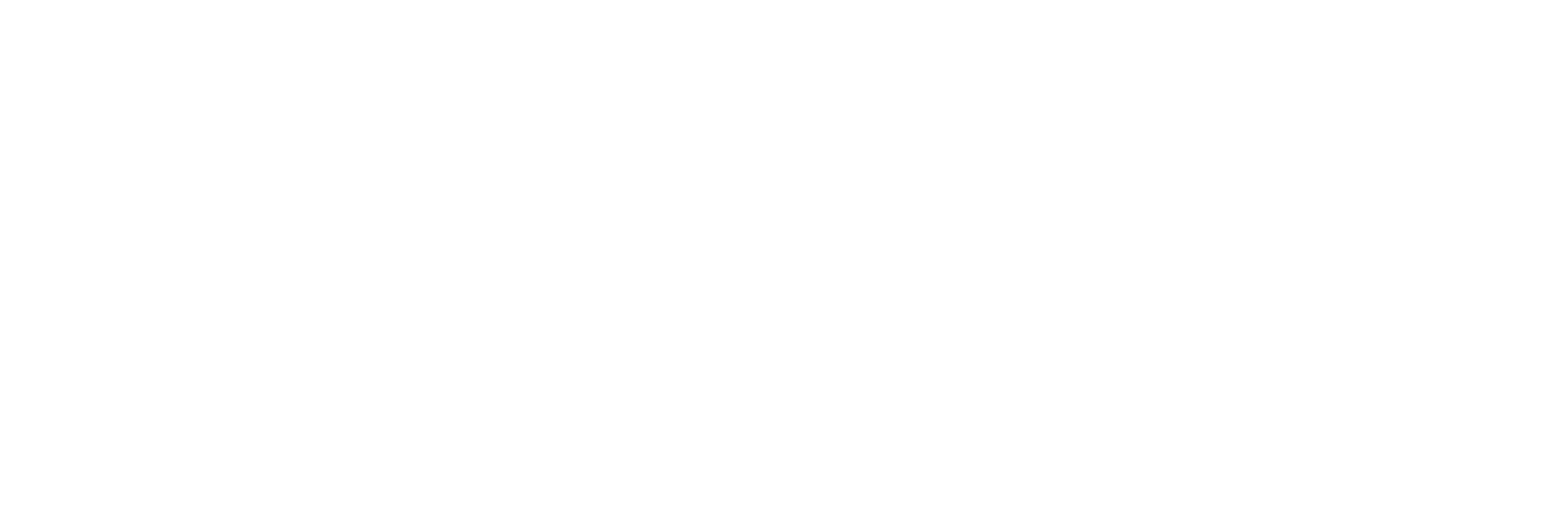 DrBusinessR_logo_white